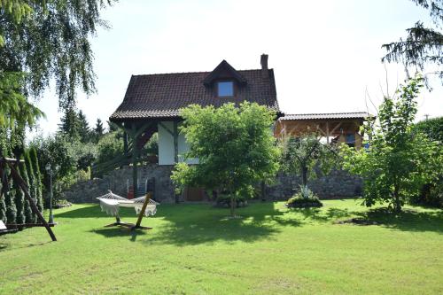 a house in a yard with a green lawn at Agroturystyka u Ani in Worpławki