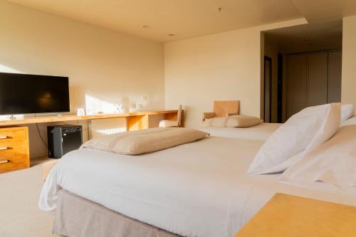 two beds in a hotel room with a television at Hotel Patagonico in Puerto Varas
