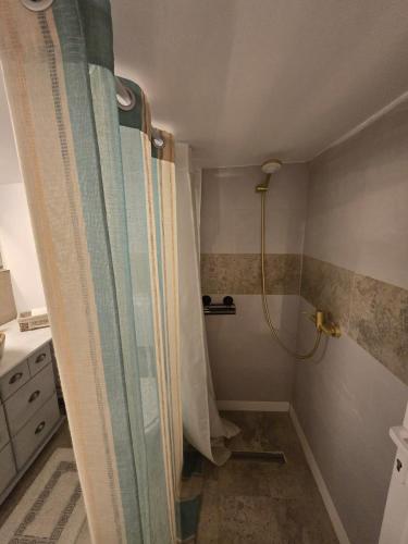 a bathroom with a shower with a shower curtain at Atia Residence in Sibiu