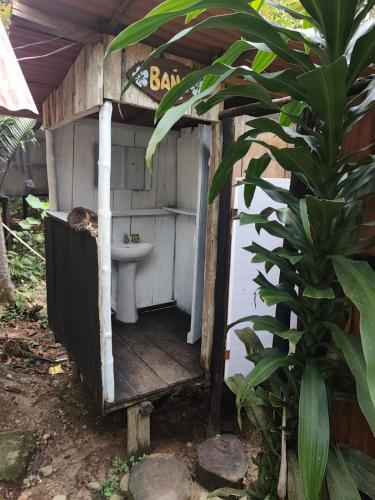 a cat sleeping in a toilet in a out house at Waikiki Pacific Hostel in Buenaventura