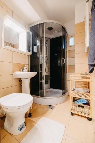 a bathroom with a shower and a toilet and a sink at B-G Apartments in Gheorgheni