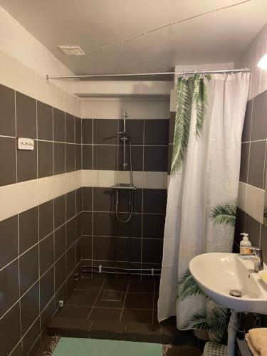 a bathroom with a shower and a sink at Vacker hus i naturen in Fröseke