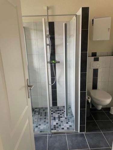 a bathroom with a shower and a toilet at Prinzenvilla in Berge