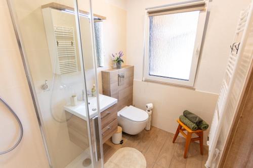 a bathroom with a shower and a toilet and a sink at Drevenička Levanduľa in Liptovská Kokava