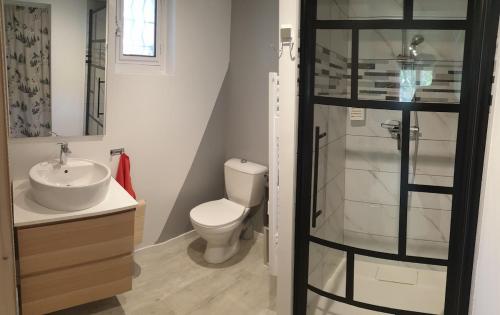 a bathroom with a toilet and a sink and a shower at Studio dans mon chalet La Mère Veille in La Girard