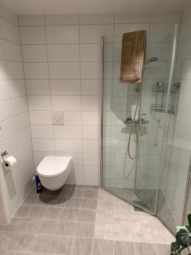 a bathroom with a toilet and a glass shower at Sentrumsnær leilighet Bergen in Bergen