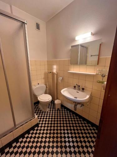 a bathroom with a toilet and a sink and a shower at Hôtel Grand-Combin in Fionnay