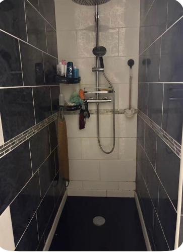 a shower in a tiled bathroom with a sink at Cécile Foissy in Pogny