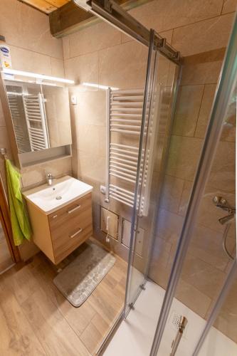 a bathroom with a shower and a sink at Raj pod vrhom in Poljane nad Škofjo Loko