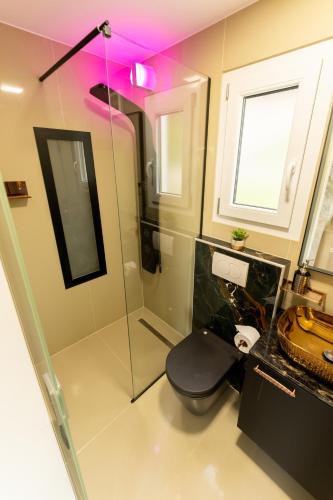 a bathroom with a toilet and a glass shower at Hiška pod vrhom in Poljane nad Škofjo Loko