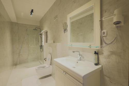 a bathroom with a sink and a toilet and a shower at Alegria Hotel in Prizren