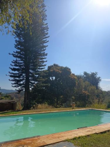 a swimming pool with a tree in the background at Motel carioca in Miguel Pereira