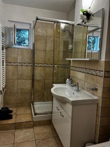 a bathroom with a sink and a shower at Apartament Lyonnet in Orşova