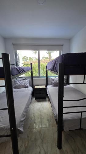 two bunk beds in a room with a window at Bambú Alojamiento in Carmen de Apicalá
