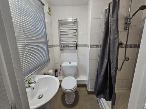 a small bathroom with a toilet and a sink at Modern Fully Contained En-Suite Room With Kitchen in Sidcup
