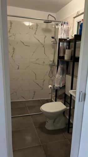 a bathroom with a toilet and a glass shower at Mobile Home ABC in Donji Karin