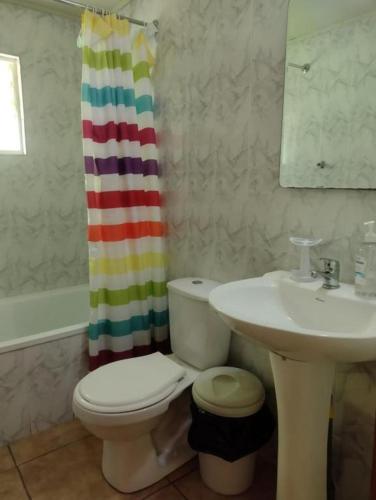 a bathroom with a toilet and a sink and a shower curtain at Tu Refugio Natural en Mahuida in Pucón