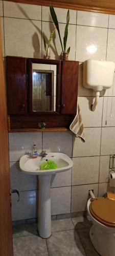 a bathroom with a sink and a toilet at Cabaña Don Jorge in Puerto Rico