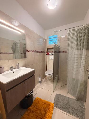 a bathroom with a sink and a shower and a toilet at Kessydryss in Sainte-Marie