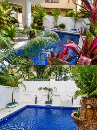 a collage of two pictures of a swimming pool with plants at Arrabella Masaki in Dar es Salaam