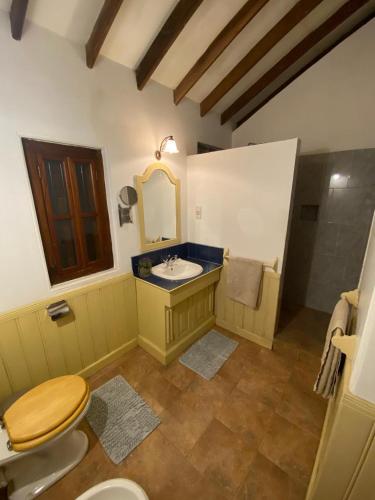 a bathroom with a sink and a toilet at Sagala Boutique Hotel in Bandarawela