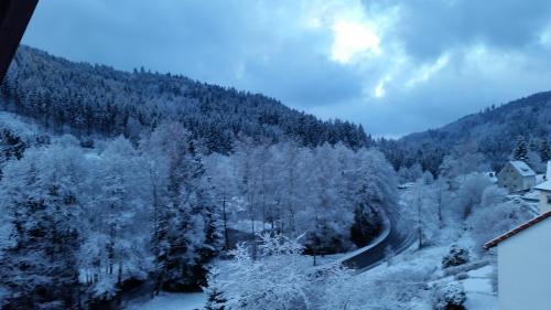a view of a snowy mountain with trees and houses at Hotel-Pension Dressel in Warmensteinach