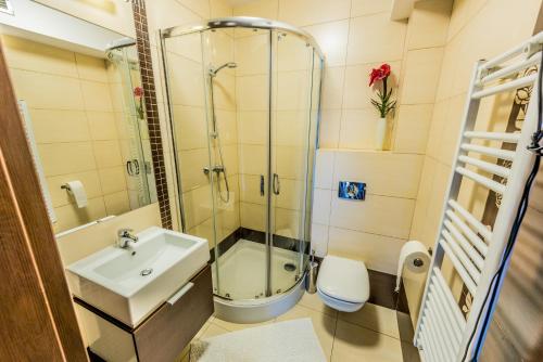 een badkamer met een douche, een wastafel en een toilet bij Babie Lato in Okuninka