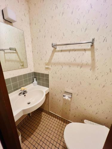 a bathroom with a sink and a toilet at Pension Green Grass in Kamakura