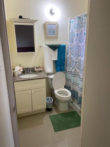 a bathroom with a toilet and a sink and a shower at Winslow Place in Falmouth
