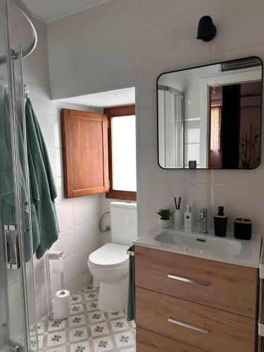 a bathroom with a toilet and a sink and a mirror at Erreka Etxea in Murueta-Orozko