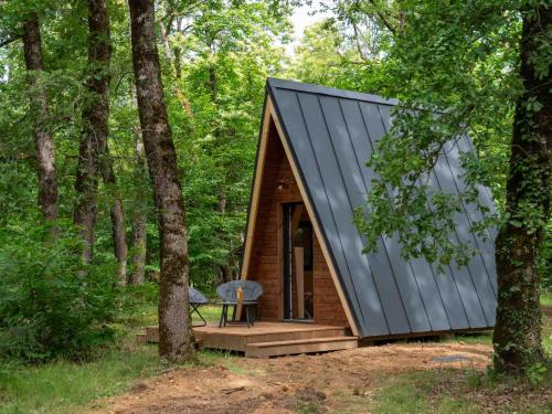 a small cabin in the woods with a black roof at La cabane en A 