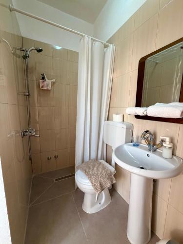 a bathroom with a toilet and a sink and a shower at B&B Marku in Dëllinjë