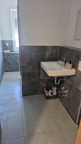 a bathroom with a sink and a shower at Ferienwohnung KEMS in Gundelsheim