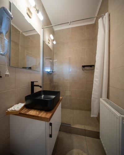 a bathroom with a black sink and a shower at Casa Edy in Sovata