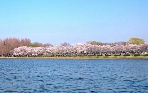 Vacation Rental MIYABI2