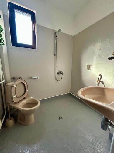 a bathroom with a toilet and a tub and a sink at Къща Петя село Орешак in Troyan