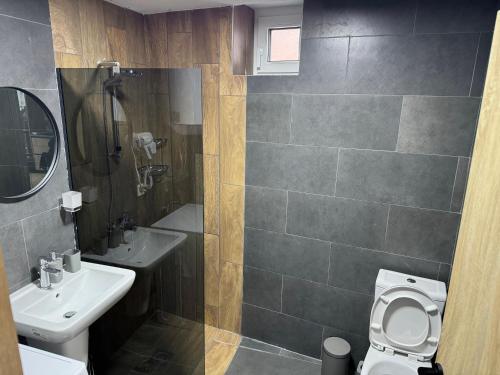 a bathroom with a toilet and a sink at DD Apartments - Mavrovo in Mavrovo