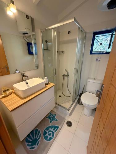 a bathroom with a sink and a shower and a toilet at Calmora by the Sea in Ancient Epidauros