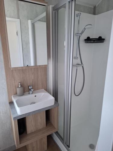 a bathroom with a sink and a shower at Mobilheim Bumblebee im Allgäu in Oberegg