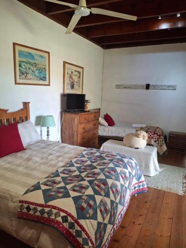 a bedroom with two beds and a television in it at Blou Porselein Guestfarm in Hermon