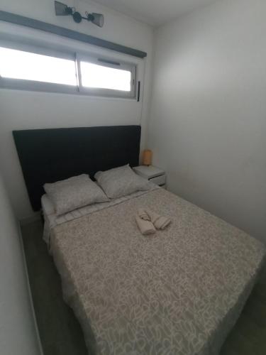 appartement climatisé avec piscine au Ponant La Grande-Motte