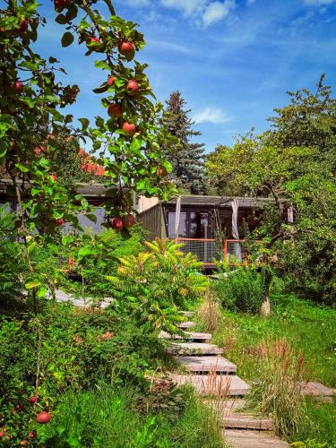 a garden with an apple tree and a stone path at Domy w ogrodzie - Riverfront cabins in Poznań