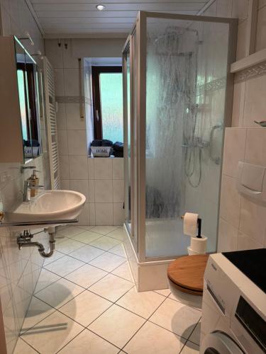 a bathroom with a shower and a sink at Ferienwohnung Stiegel in Ingelheim am Rhein