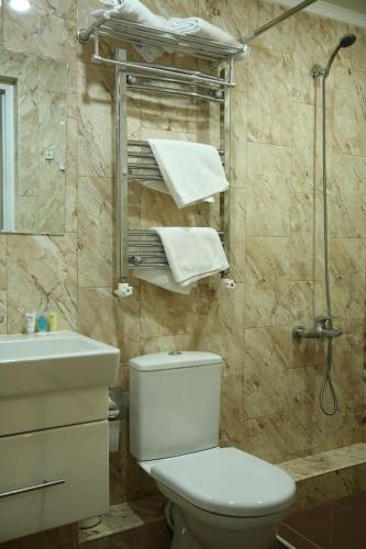 a bathroom with a toilet and a sink and a shower at Vell Grey Hotel in Martuni