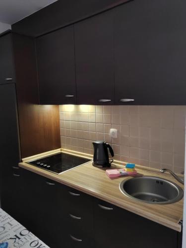 a kitchen with a sink and a counter top at Apartman Angela in Budva