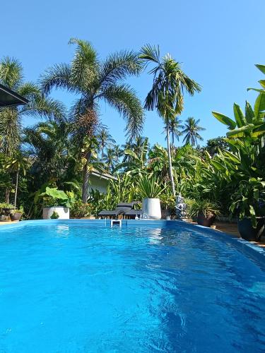 a large swimming pool with palm trees in the background at Palm Oasis in Nathon Bay