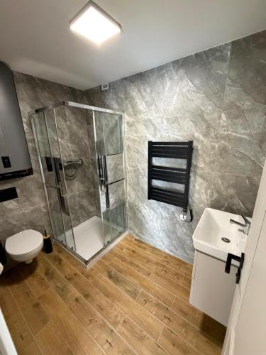 a bathroom with a shower and a toilet and a sink at Sunrise Apartamenty in Chocicza