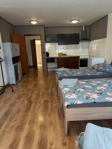 a room with three beds and a kitchen at Apartments Bílina in Teplice