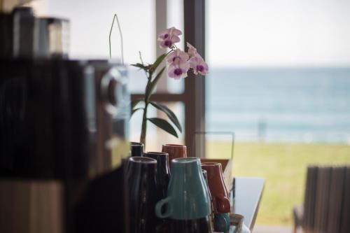 B&Bの近くで見られる自然の景観