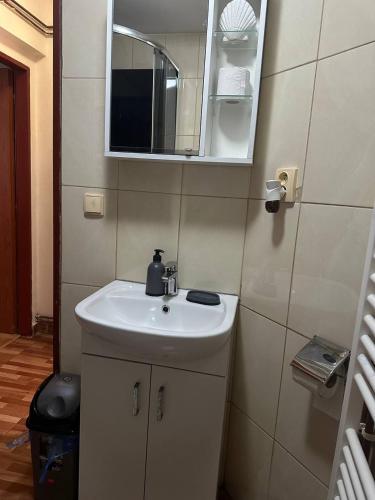 a bathroom with a white sink and a mirror at Penzion Bilina in Teplice